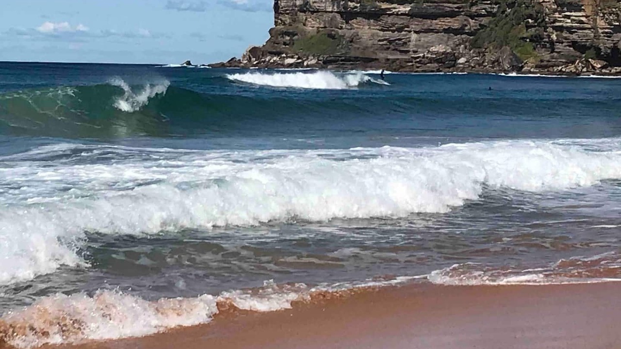 Photo of Others in Avalon Beach