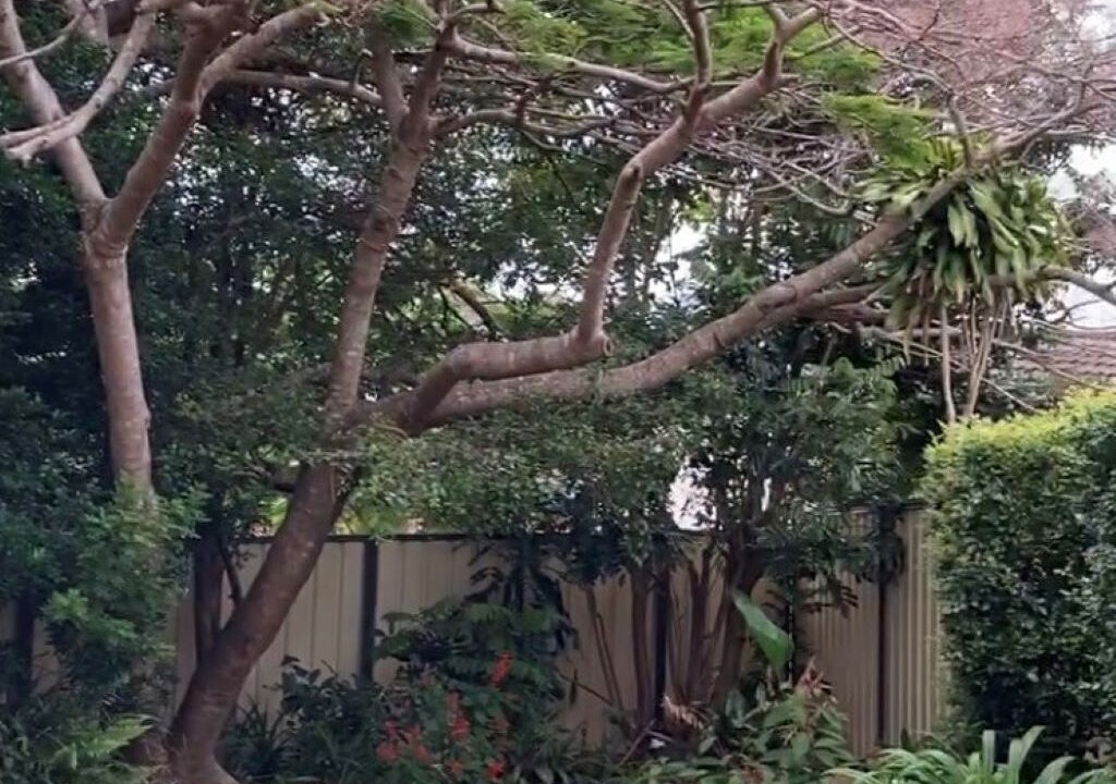 Photo of Patio Balcony in Valla Beach