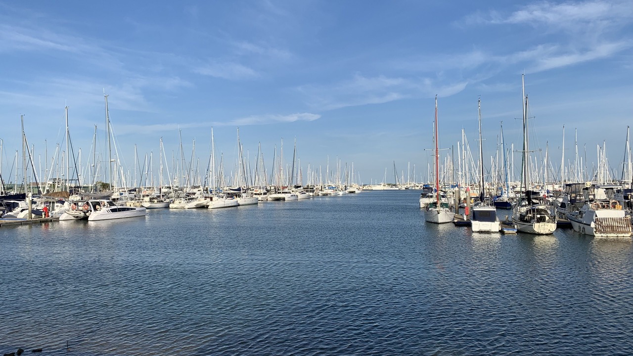 Photo of Others in Manly