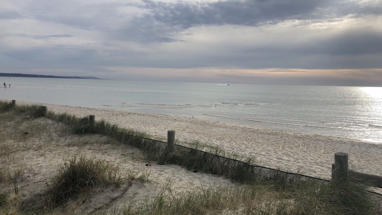 Photo of Others in Seaford