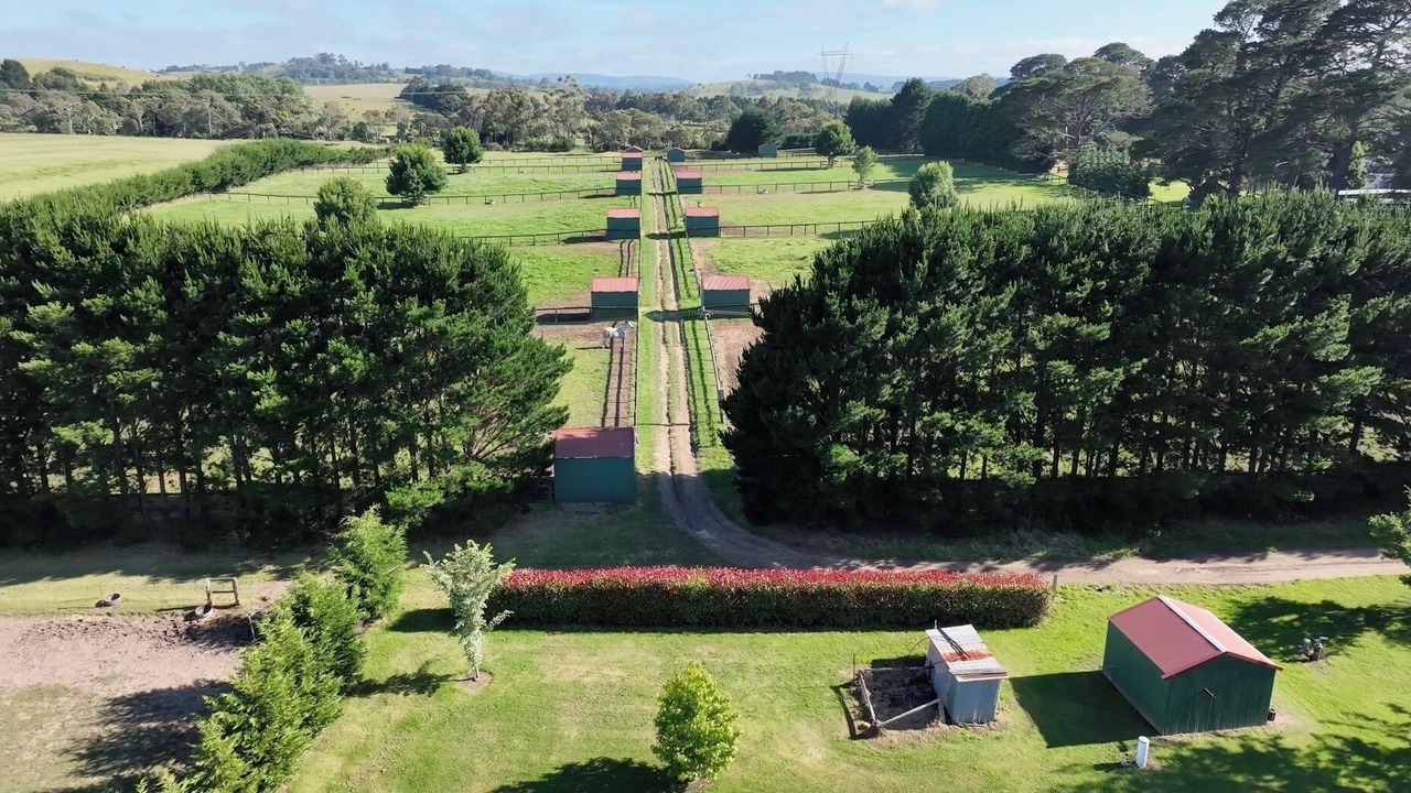 Photo of Outdoor in Moss Vale