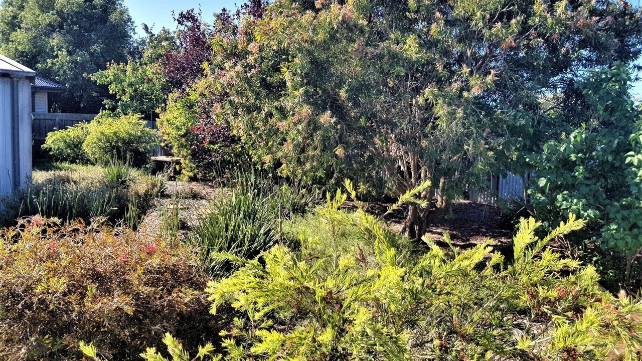 Photo of Outdoor in Portarlington