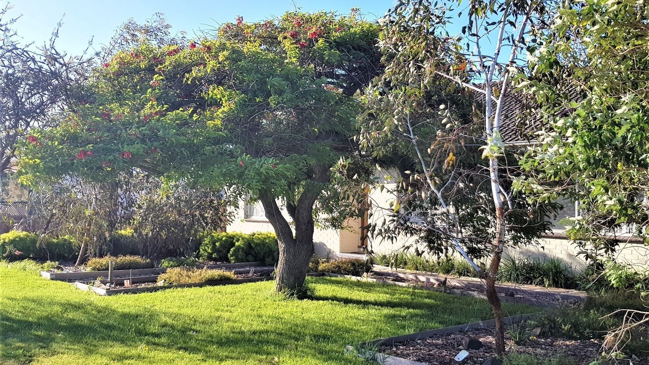Photo of Outdoor in Portarlington