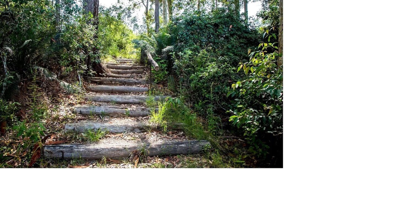 Photo of Outdoor in Mogo