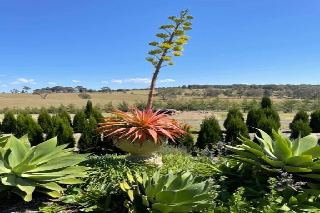 Photo of Outdoor in Leconfield