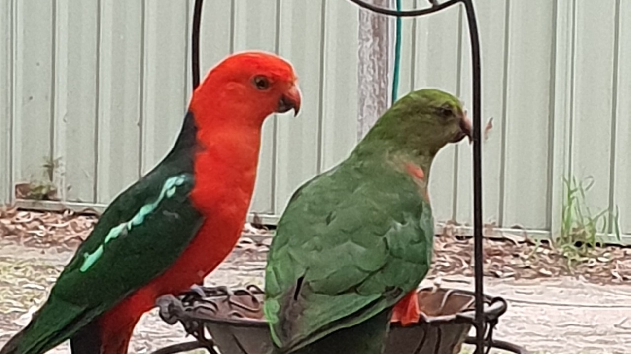 Photo of Others in Callala Bay