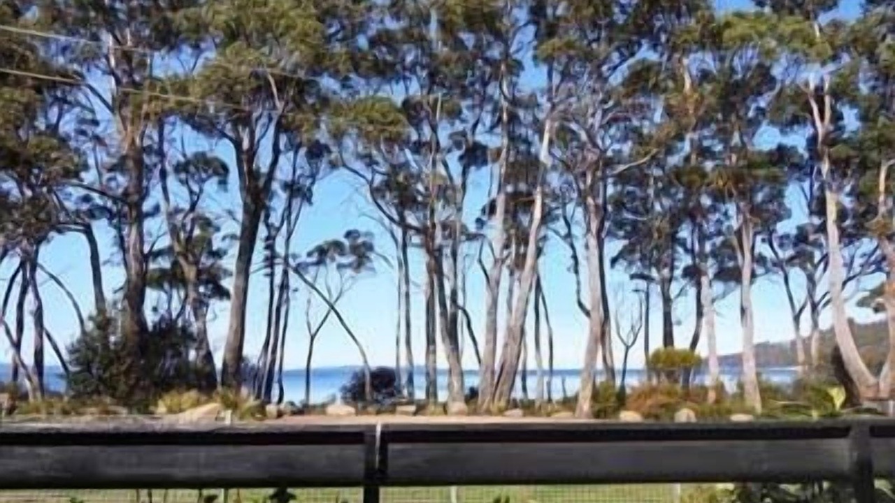 Photo of Others in Surveyors Bay