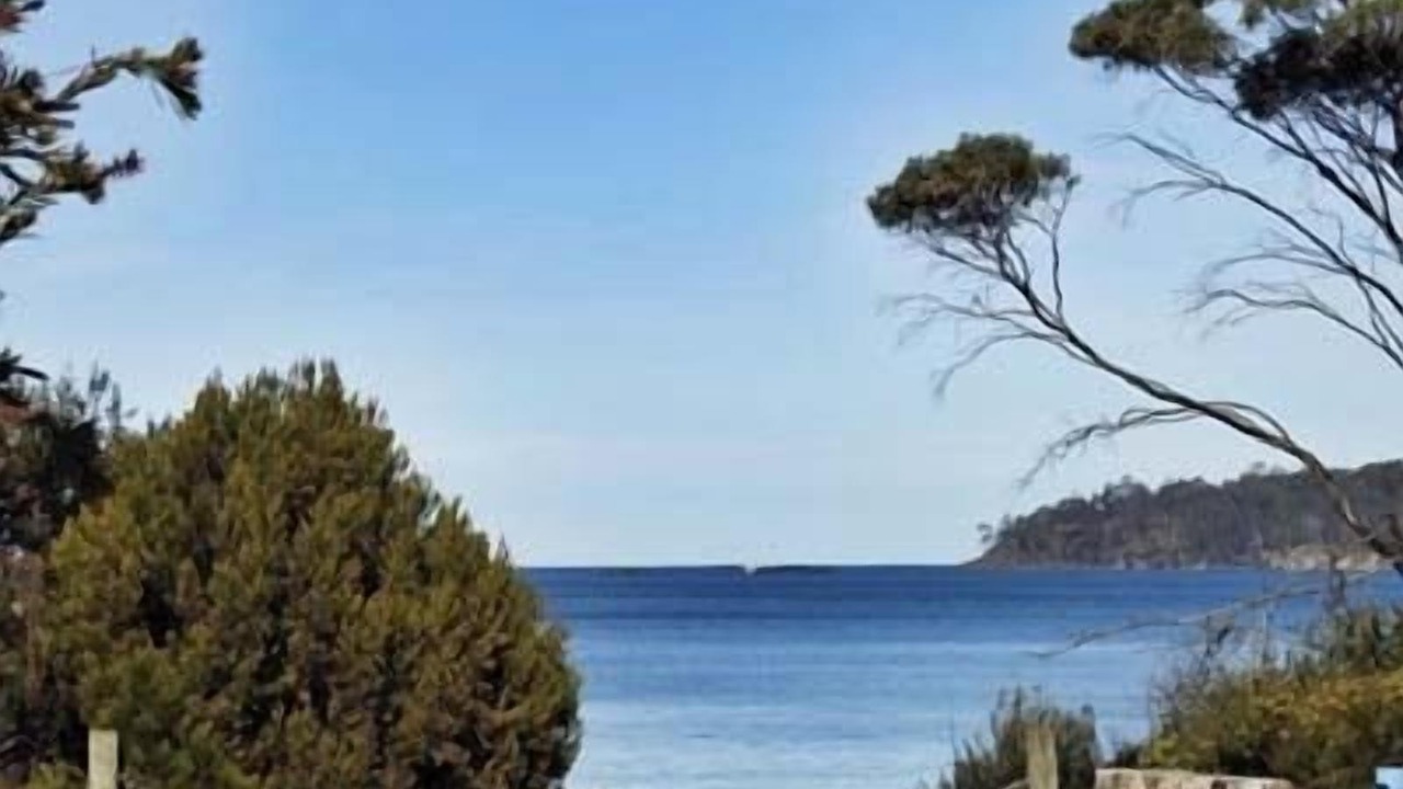 Photo of Others in Surveyors Bay