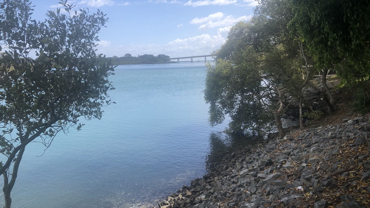 Photo of Others in Currumbin