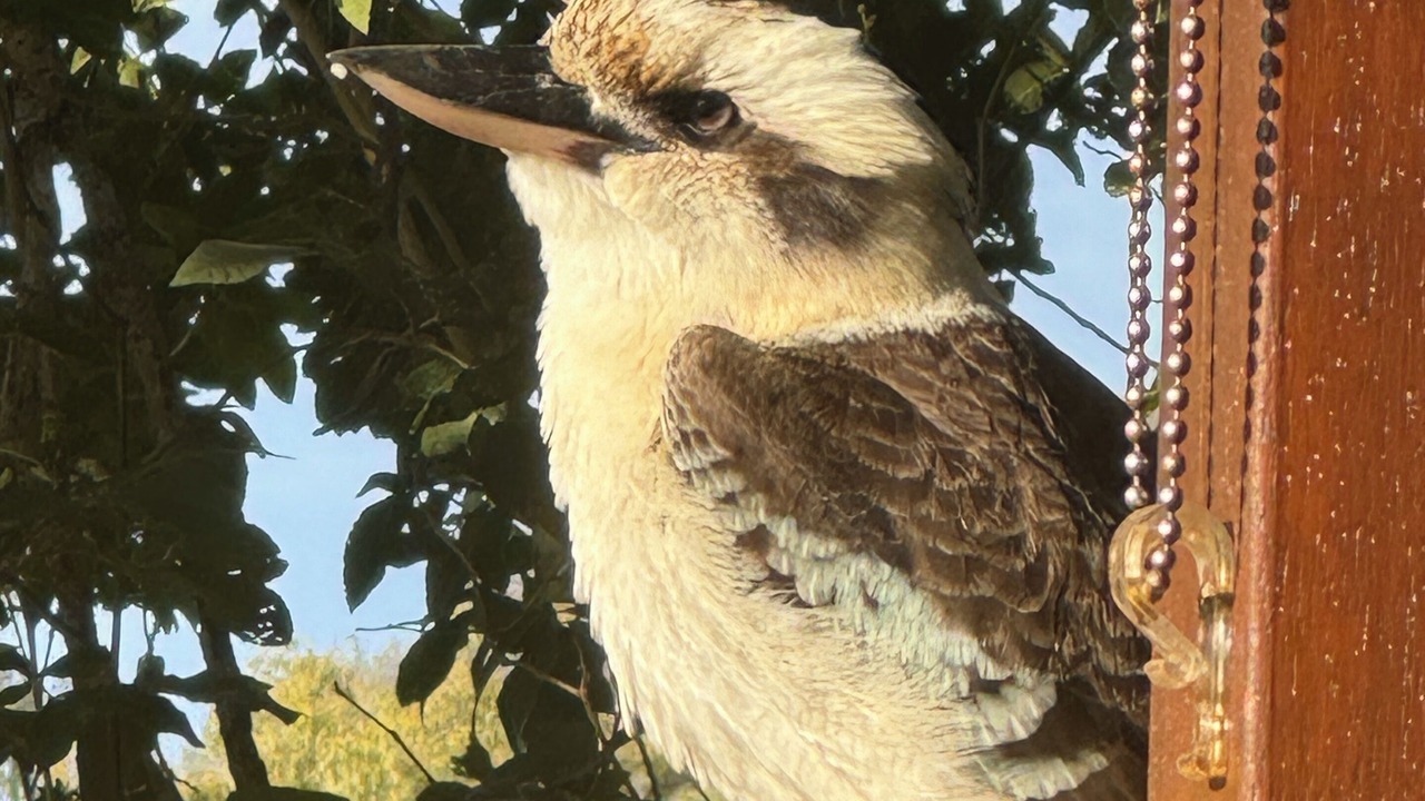 Photo of Others in Somerset Dam