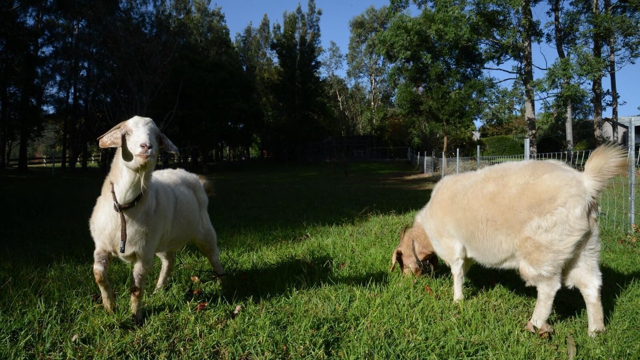 Photo of Outdoor in Kangaroo Valley