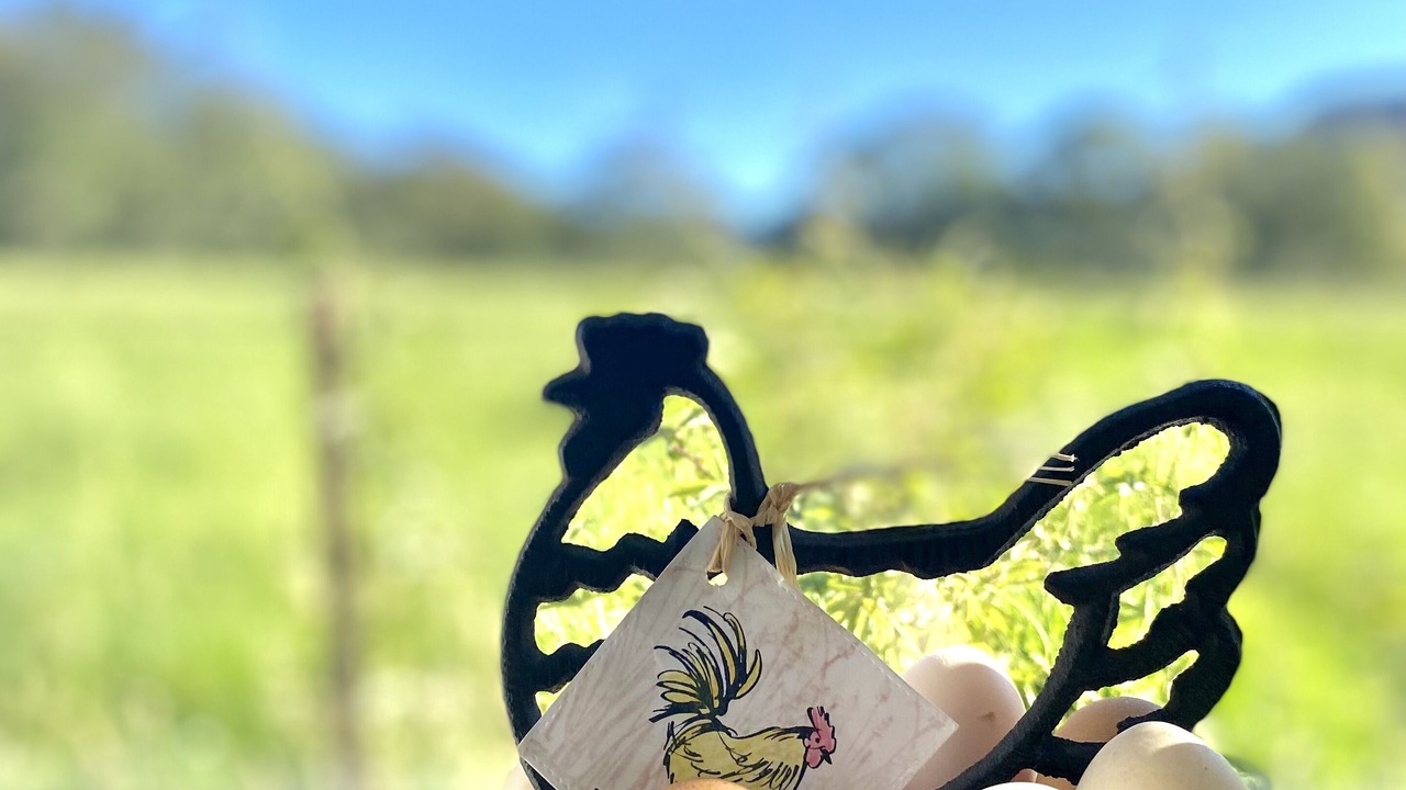 Photo of Others in Kangaroo Valley