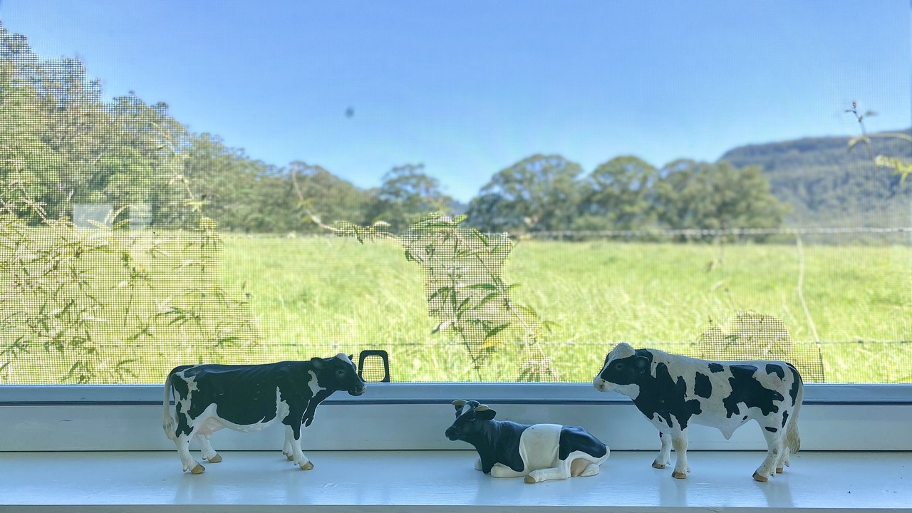 Photo of Others in Kangaroo Valley