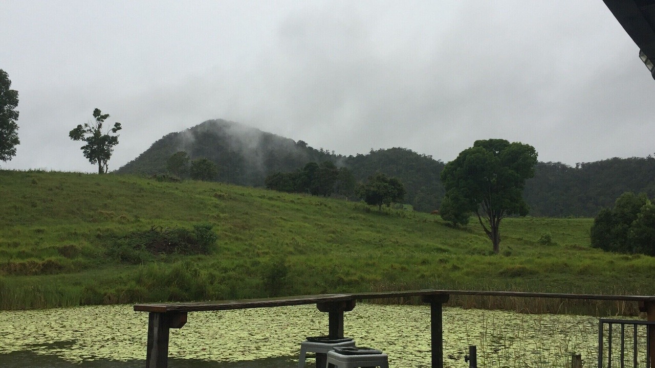 Photo of Outdoor in Cedar Pocket