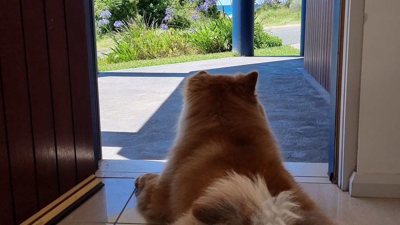 Photo of Outdoor in Blueys Beach