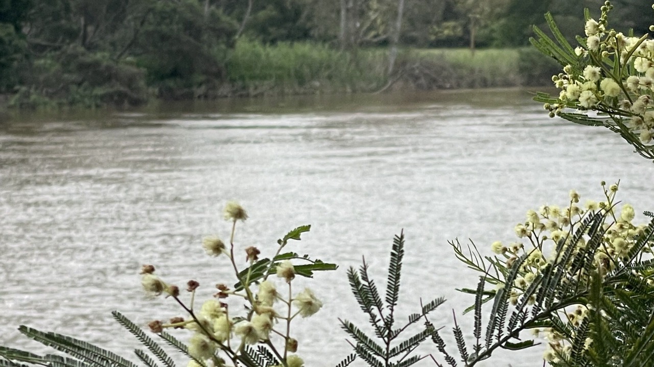 Photo of Others in Maffra