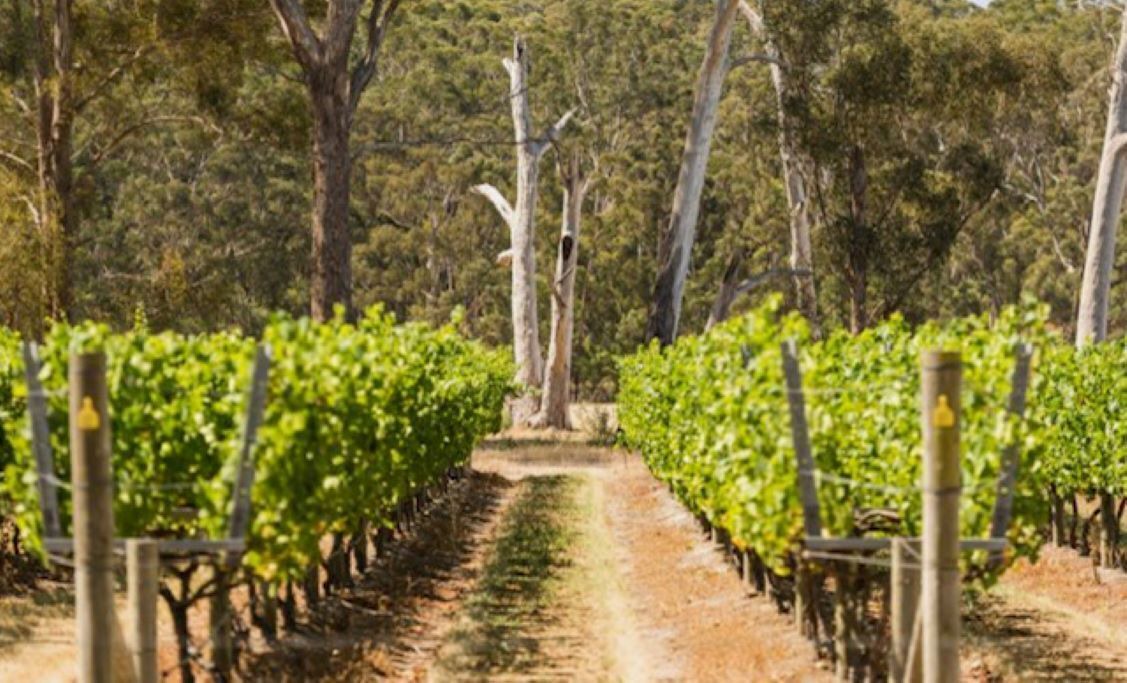 Photo of Others in Maffra