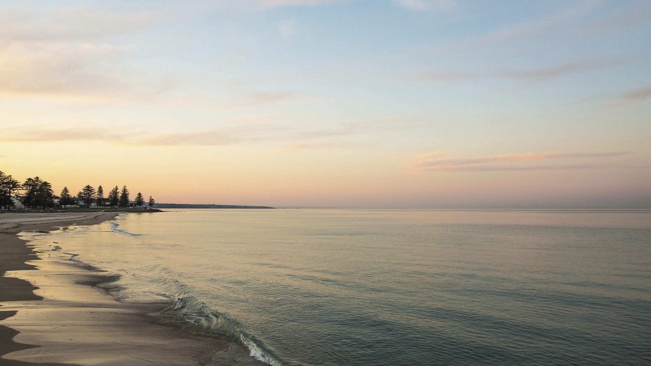 Photo of Others in Glenelg South
