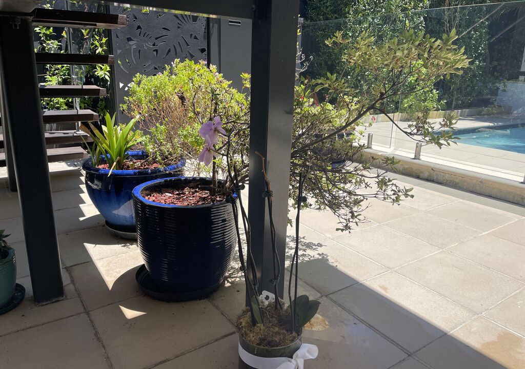 Photo of Outdoor in Freshwater
