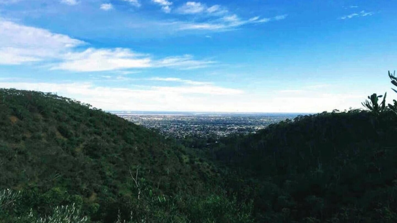 Photo of Others in Campbelltown