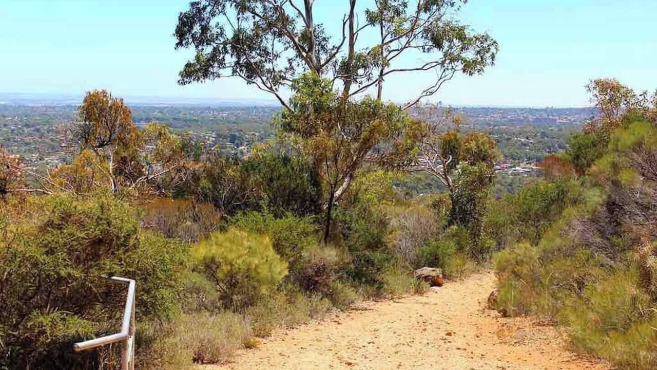 Photo of Others in Campbelltown