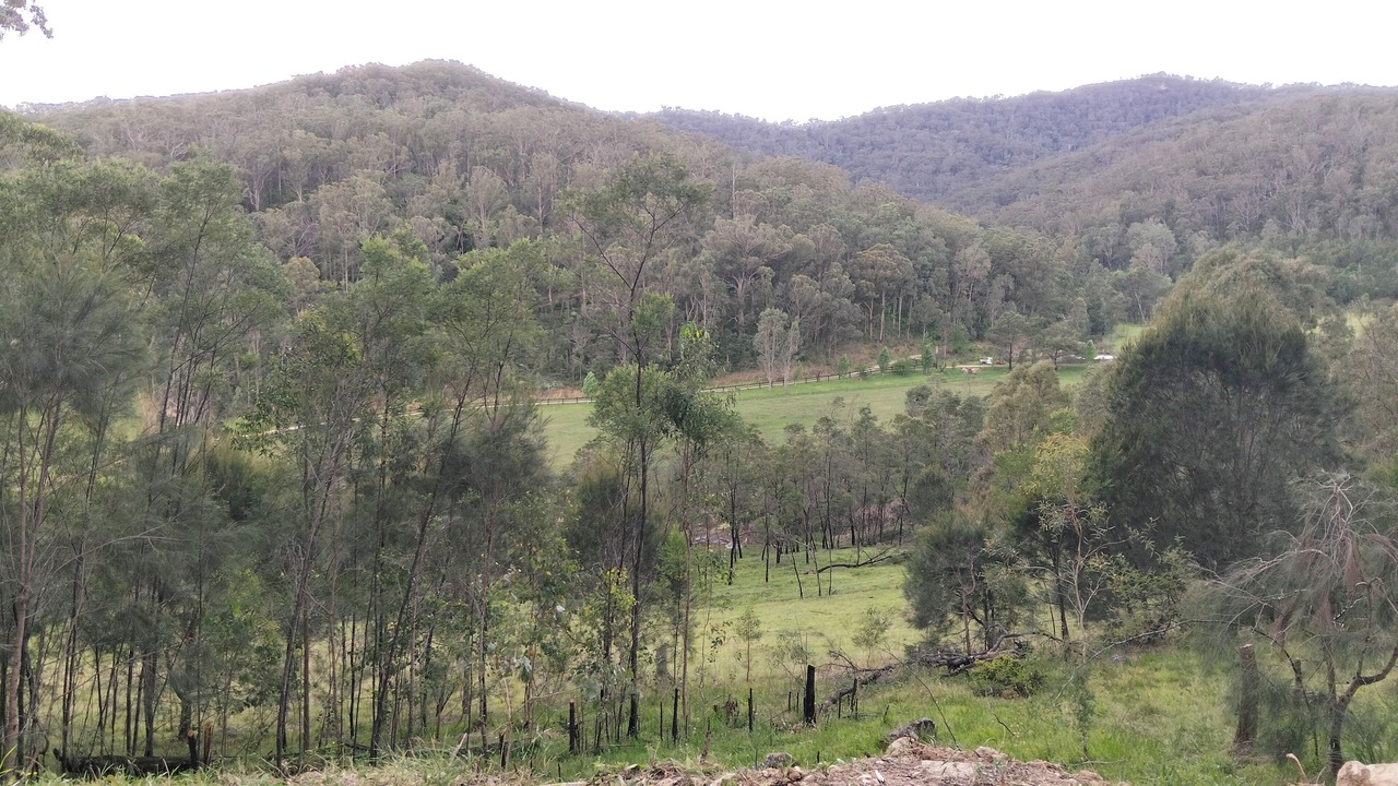 Photo of Others in Wollombi