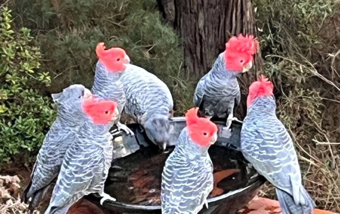 Photo of Outdoor in Hepburn Springs