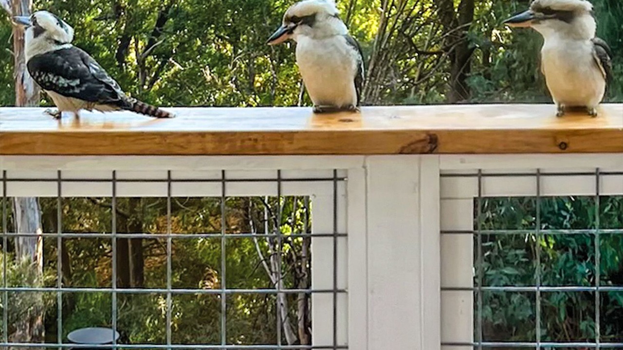 Photo of Others in Hepburn Springs