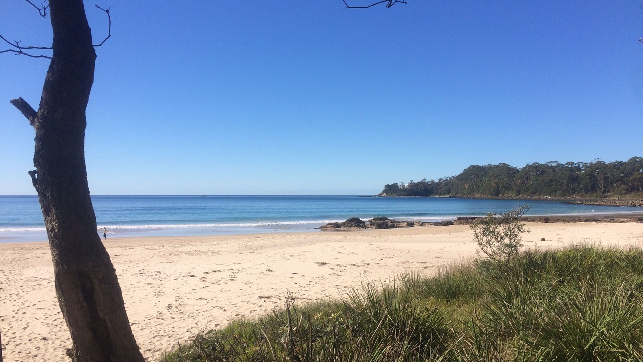 Photo of Others in Narrawallee