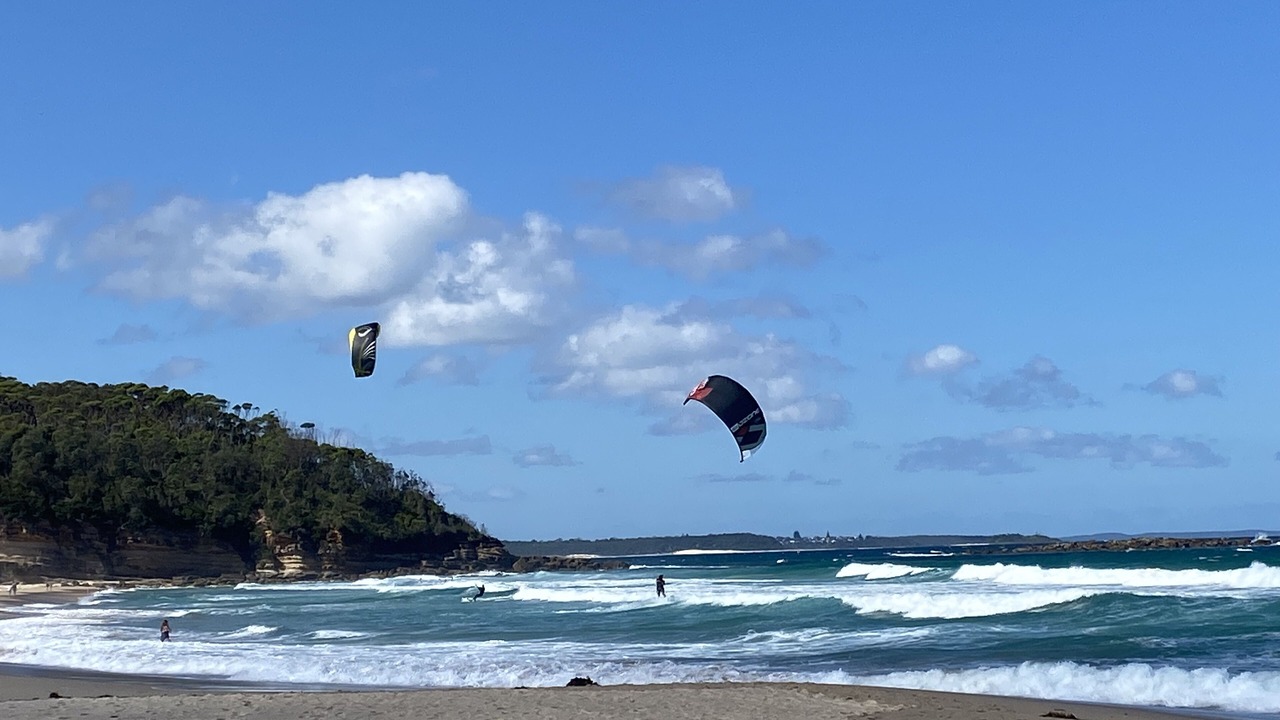 Photo of Others in Narrawallee