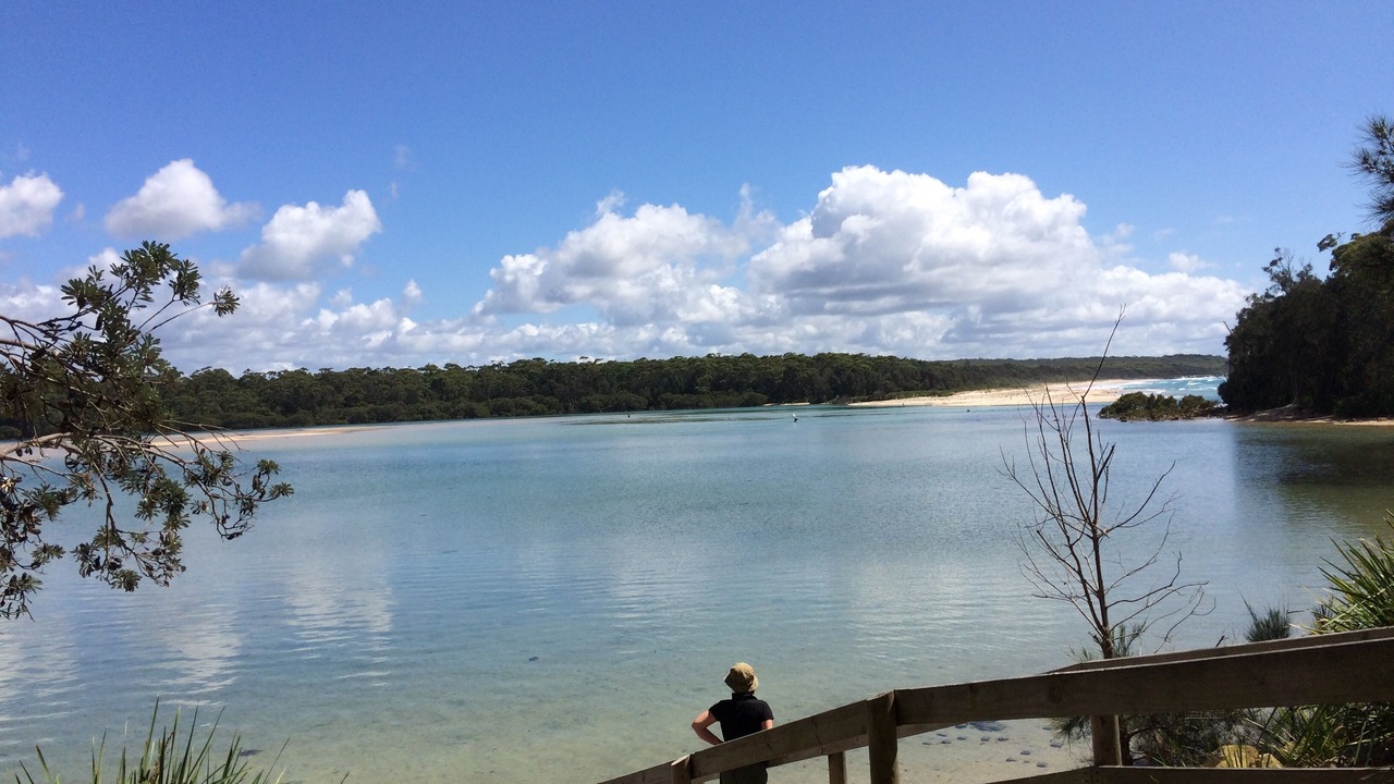Photo of Others in Narrawallee