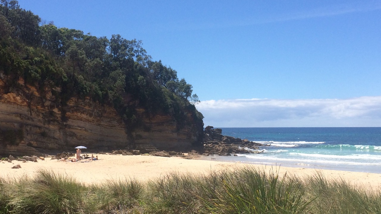 Photo of Others in Narrawallee