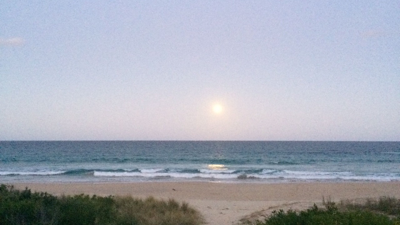Photo of Others in Narrawallee
