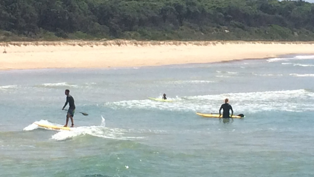 Photo of Others in Narrawallee