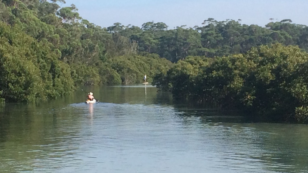 Photo of Others in Narrawallee
