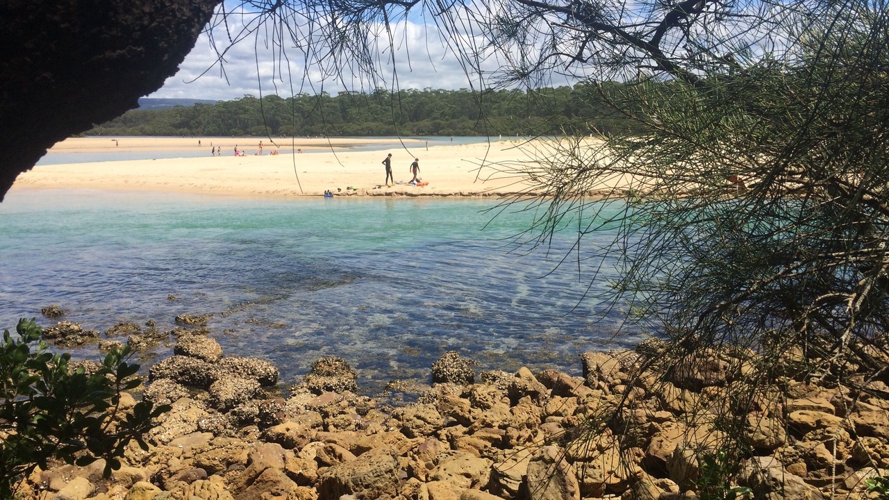 Photo of Others in Narrawallee