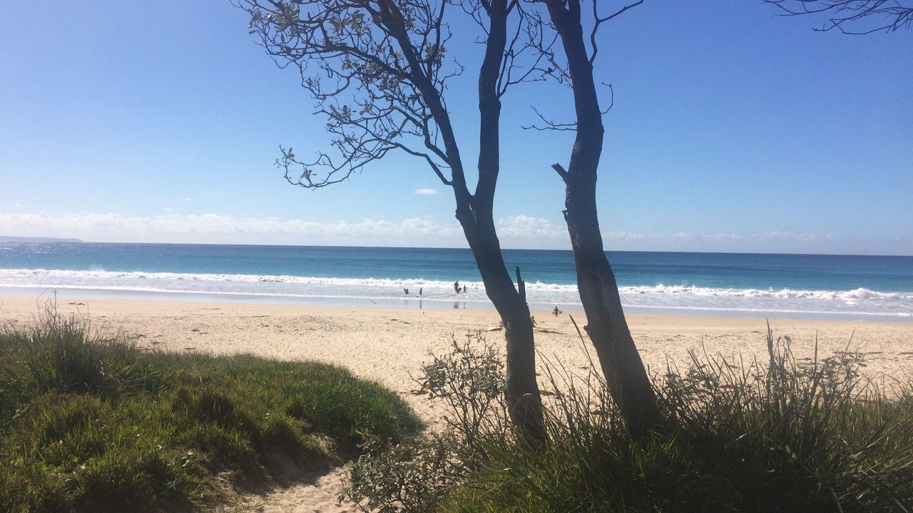 Photo of Others in Narrawallee
