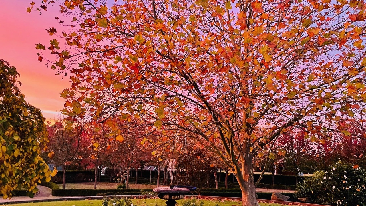 Photo of Others in Tyabb