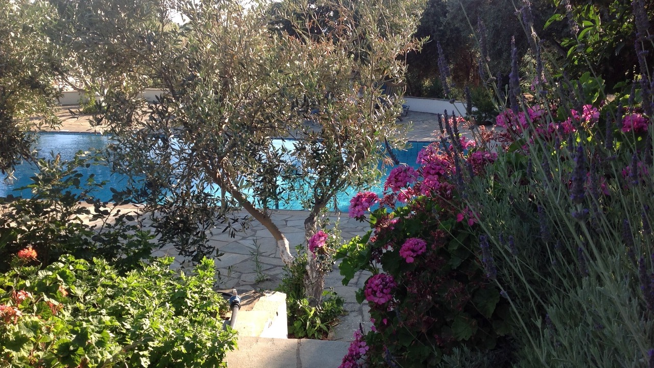 Photo of Outdoor in Glinado