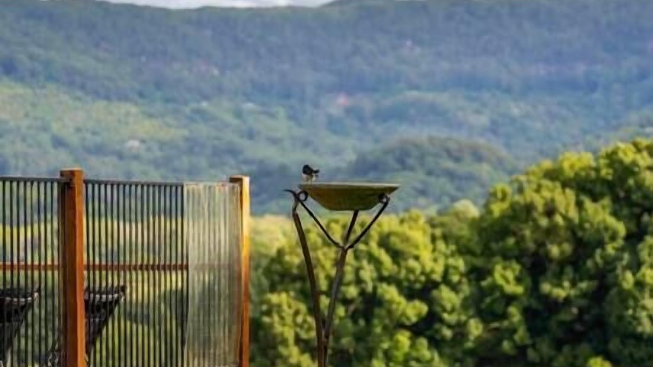 Photo of Others in Mullumbimby