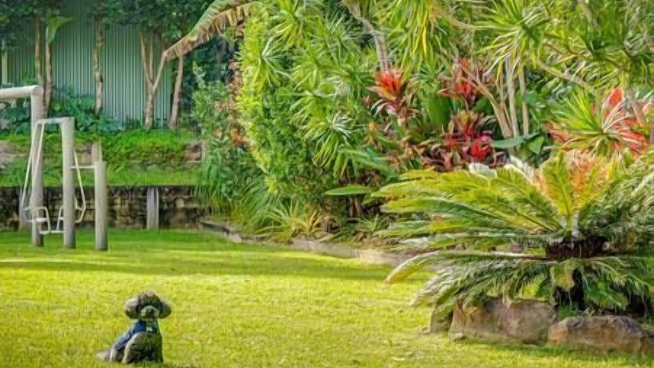 Photo of Others in Mullumbimby