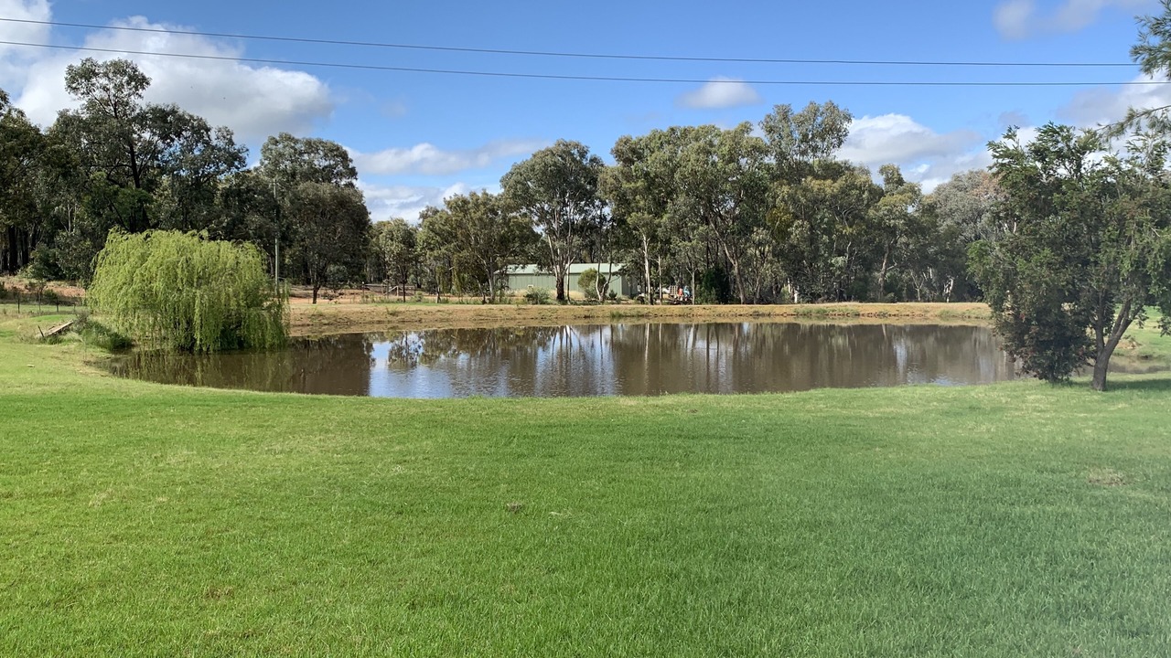Photo of Others in Central Mudgee
