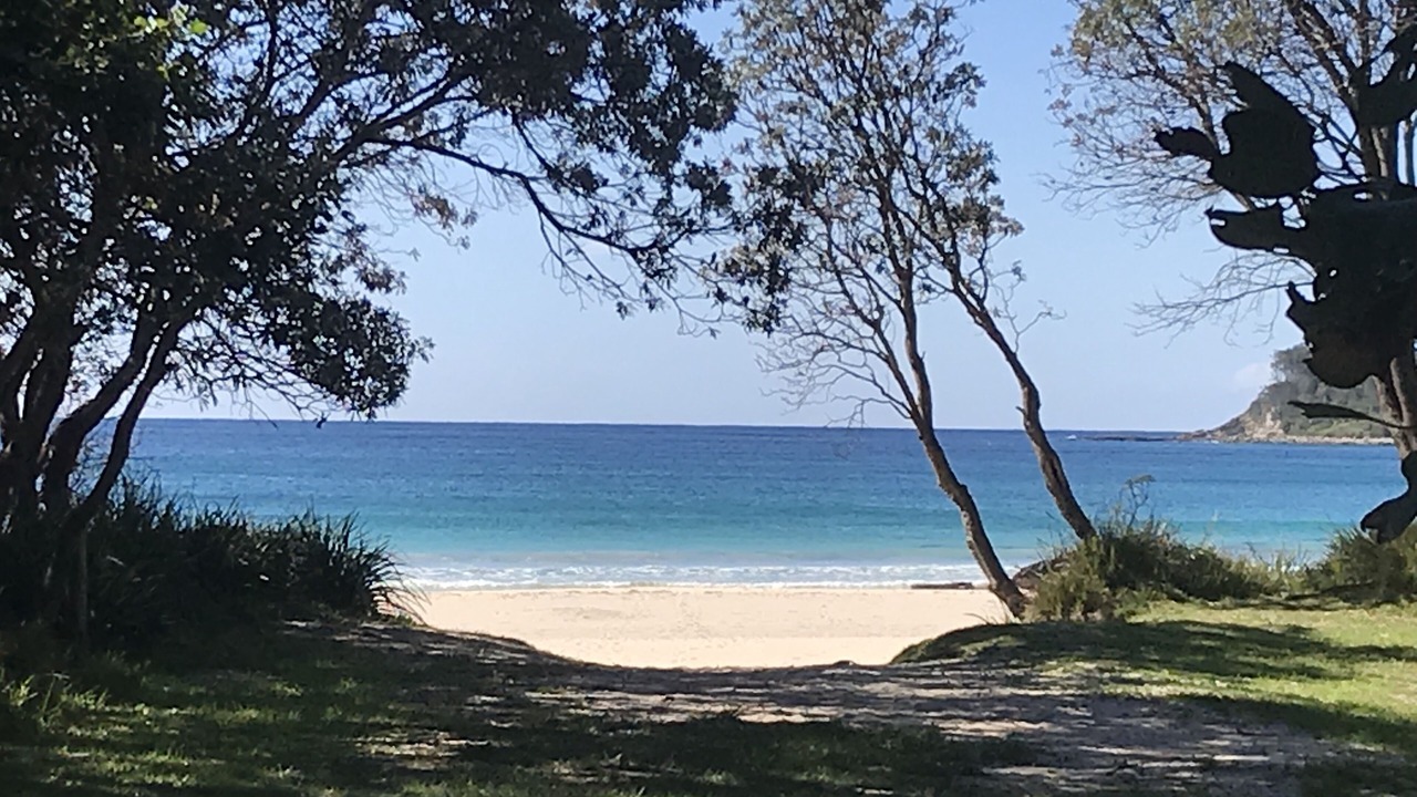 Photo of Others in Narrawallee