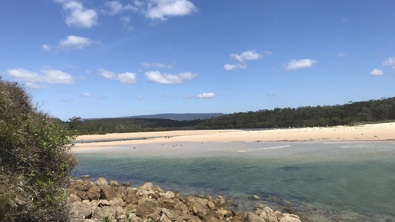 Photo of Others in Narrawallee