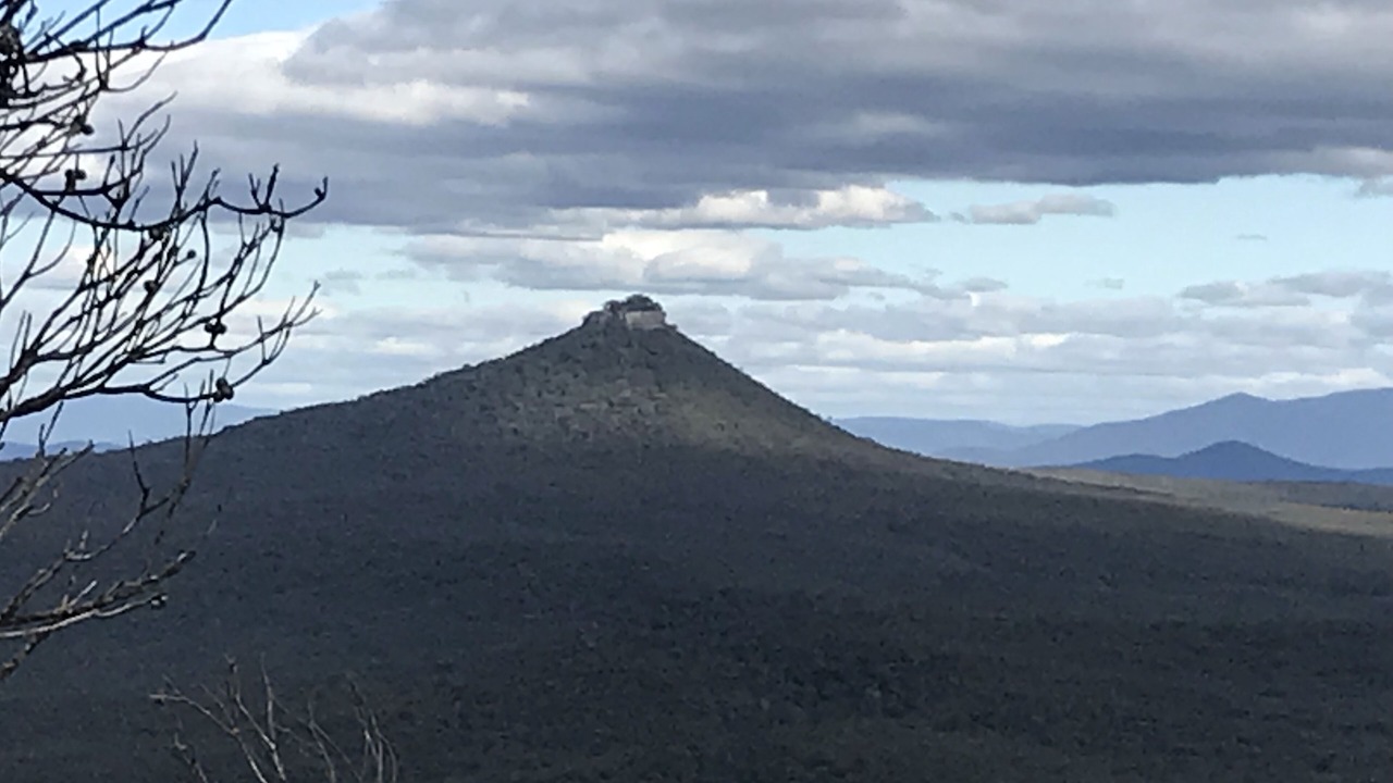 Photo of Others in Narrawallee