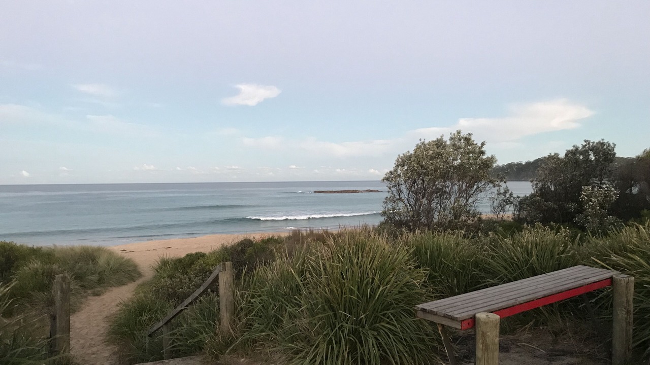 Photo of Others in Narrawallee