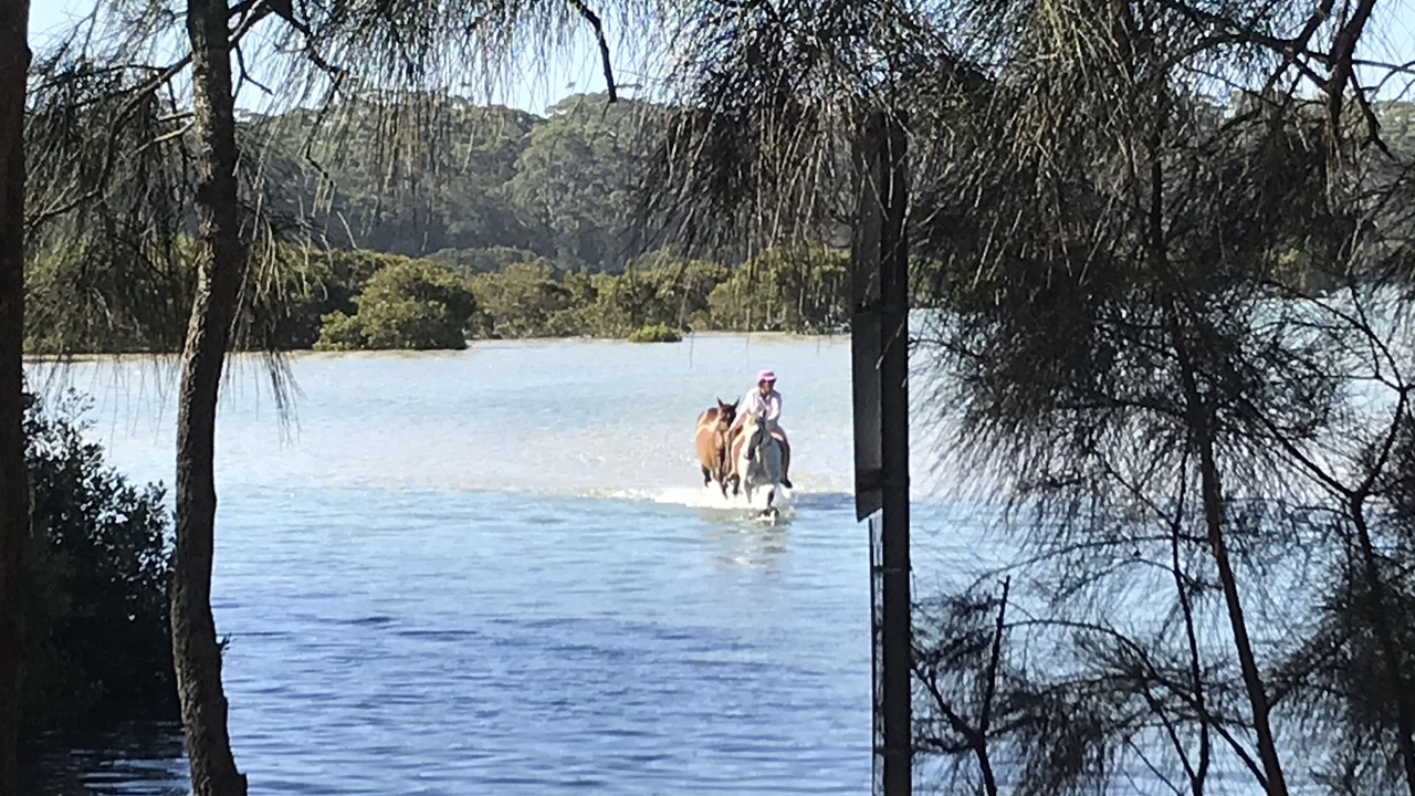 Photo of Others in Narrawallee