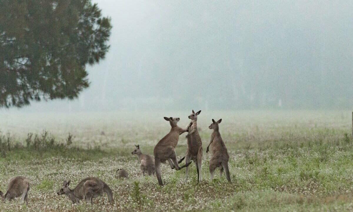 Photo of Outdoor in Kangaroo Valley
