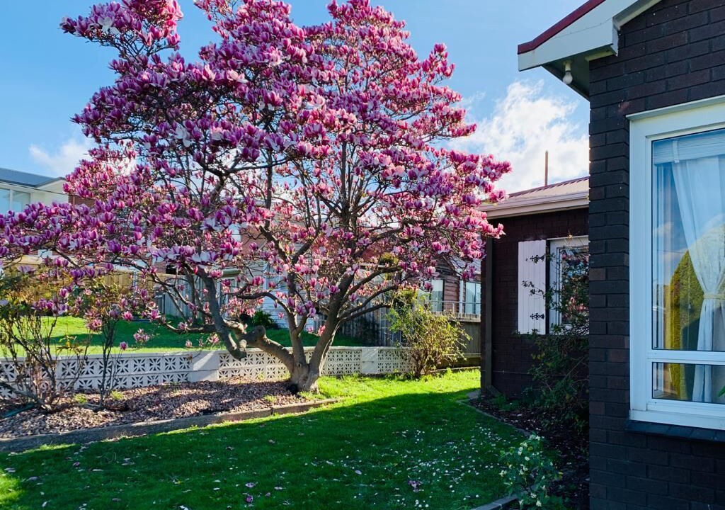 Photo of Outdoor in Glenorchy