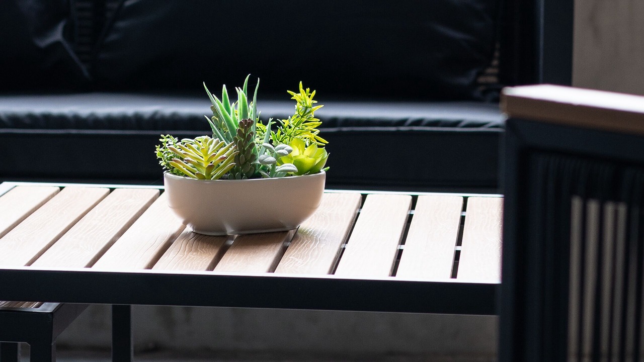 Photo of Outdoor in Cremorne